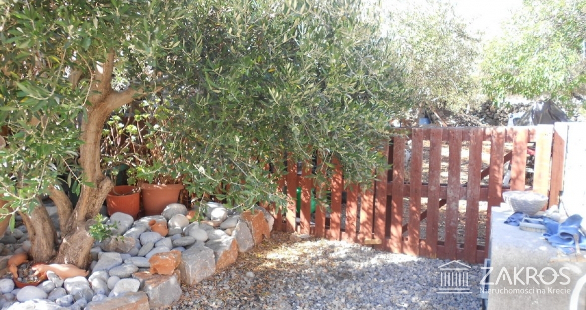 Nadzwyczajna nieruchomość z ogrodem, tarasami i dwoma gajami oliwnymi